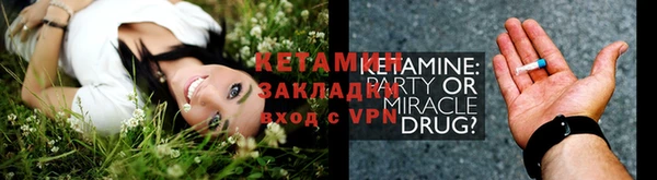 шишки Ладушкин