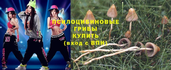 шишки Ладушкин