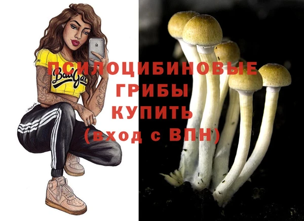 ECSTASY Лабытнанги