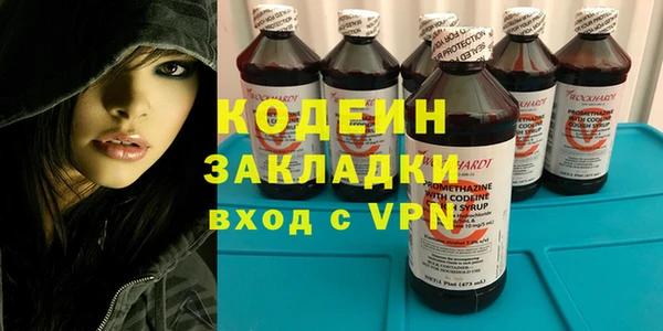 шишки Ладушкин