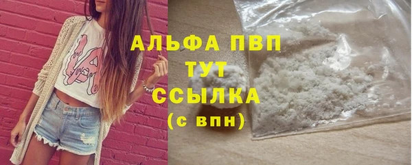 шишки Ладушкин